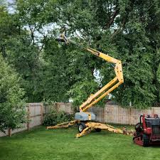 Best Leaf Removal Services  in Middletown, NY