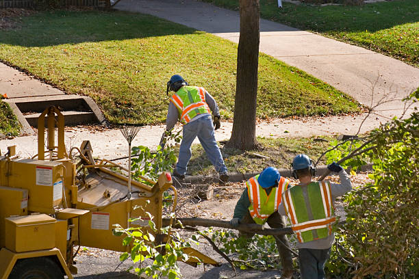 Best Commercial Tree Services  in Middletown, NY